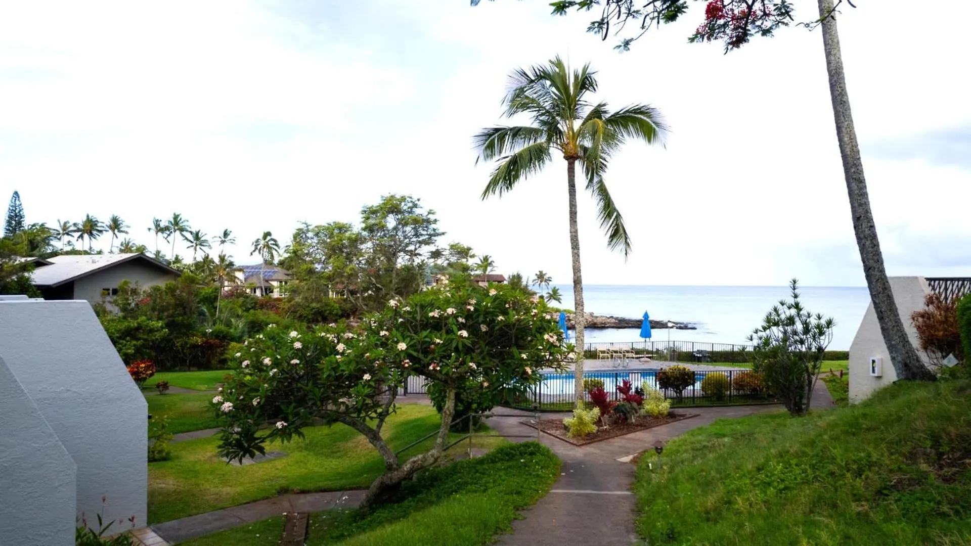 New Kbm Resorts Free Car Napili Point Oceanfront 1-Bedroom Condo With Luxury Amenities Nap-B13 Apartment
