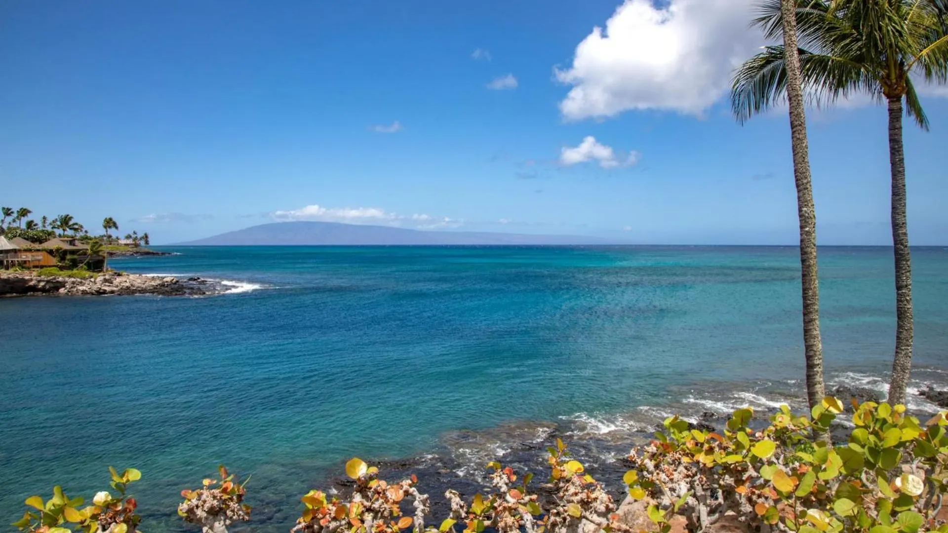 New Kbm Resorts Free Car Napili Point Oceanfront 1-Bedroom Condo With Luxury Amenities Nap-B13